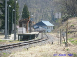 kamisakai2.jpg